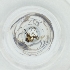  ( - MOZZ00000976A_D1)  @11 [ ] by  Genome Research Ltd as Wellcome Sanger Institute Genome Research Limited operating as Wellcome Sanger Institute