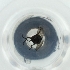  ( - MOZZ00000977A_F1)  @11 [ ] by  Genome Research Ltd as Wellcome Sanger Institute Genome Research Limited operating as Wellcome Sanger Institute