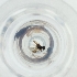  ( - MOZZ00000979A_B2)  @11 [ ] by  Genome Research Ltd as Wellcome Sanger Institute Genome Research Limited operating as Wellcome Sanger Institute