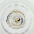  ( - MOZZ00000979A_D3)  @11 [ ] by  Genome Research Ltd as Wellcome Sanger Institute Genome Research Limited operating as Wellcome Sanger Institute