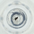 ( - MOZZ00000979A_D7)  @11 [ ] by  Genome Research Ltd as Wellcome Sanger Institute Genome Research Limited operating as Wellcome Sanger Institute