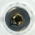  ( - MOZZ00000979A_F7)  @11 [ ] by  Genome Research Ltd as Wellcome Sanger Institute Genome Research Limited operating as Wellcome Sanger Institute