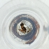  ( - MOZZ00000979A_G1)  @11 [ ] by  Genome Research Ltd as Wellcome Sanger Institute Genome Research Limited operating as Wellcome Sanger Institute