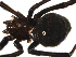  ( - PCANA1-B06)  @13 [ ] CreativeCommons - Attribution (2010) Gergin Blagoev, Centre for Biodiversity Genomics Centre for Biodiversity Genomics
