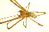  ( - PCANA2-H02)  @13 [ ] CreativeCommons - Attribution (2010) Gergin Blagoev, Centre for Biodiversity Genomics Centre for Biodiversity Genomics