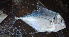  ( - 240518-KH9)  @11 [ ] Copyright (2019) Jean-Dominique Durand Institut de Recherche pour le Developpement