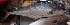  ( - CD1- 250217)  @11 [ ] Copyright (2019) Jean-Dominique Durand Institut de Recherche pour le Developpement