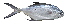  ( - CDCaranx-02)  @11 [ ] CreativeCommons - Attribution Non-Commercial Share-Alike (2015) Jean-Dominique Durand IRD