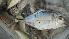  ( - D10.030616CD)  @11 [ ] CreativeCommons - Attribution Non-Commercial Share-Alike (2015) Hoang Duc Huy IRD