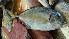  ( - D8.050616 CD)  @11 [ ] CreativeCommons - Attribution Non-Commercial Share-Alike (2015) Hoang Duc Huy IRD