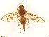  ( - BC0101R4M09_A)  @13 [ ] CreativeCommons - Attribution (2016) Henry Troya Agrocalidad