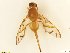  ( - BC0101R4M10_A)  @12 [ ] CreativeCommons - Attribution (2016) Henry Troya Agrocalidad