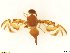  ( - BC0108R3M11_B)  @11 [ ] CreativeCommons - Attribution (2016) Henry Troya Agrocalidad