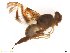  ( - BCABG04)  @13 [ ] CreativeCommons - Attribution (2017) Henry Troya Agrocalidad