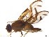  ( - BCE1116011)  @13 [ ] CreativeCommons - Attribution (2017) Henry Troya Agrocalidad