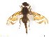  ( - BCEC021205R1M4C39)  @11 [ ] CreativeCommons - Attribution (2017) Henry Troya Agrocalidad