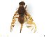  ( - BCLAB1125)  @13 [ ] CreativeCommons - Attribution (2017) Henry Troya Agrocalidad