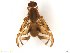 ( - BCLDR04E15668)  @14 [ ] CreativeCommons - Attribution (2017) Henry Troya Agrocalidad