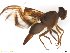  ( - BCLDRORELLANA023)  @13 [ ] CreativeCommons - Attribution (2017) Henry Troya Agrocalidad