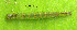  ( - USNM ENT 00704662)  @12 [ ] Unspecified (default): All Rights Reserved  Unspecified Unspecified