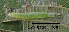  ( - USNM ENT 00704343)  @12 [ ] Unspecified (default): All Rights Reserved  Unspecified Unspecified