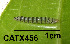 ( - USNM ENT 00704509)  @12 [ ] Unspecified (default): All Rights Reserved  Unspecified Unspecified
