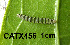  ( - USNM ENT 00704509)  @12 [ ] Unspecified (default): All Rights Reserved  Unspecified Unspecified