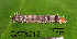  ( - USNM ENT 00704317)  @12 [ ] Unspecified (default): All Rights Reserved  Unspecified Unspecified