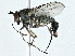  ( - BIOUG85283-G03)  @11 [ ] CreativeCommons - Attribution (2023) CBG Photography Group Centre for Biodiversity Genomics