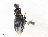  ( - CBG-A08781-H01)  @11 [ ] CreativeCommons - Attribution Share - Alike (2023) CBG Photography Group Centre for Biodiversity Genomics