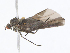  ( - CBG-A10828-A05)  @11 [ ] CreativeCommons - Attribution Share-Alike (2023) CBG Photography Group Centre for Biodiversity Genomics