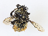  ( - CBG-A10828-B07)  @11 [ ] CreativeCommons - Attribution Share-Alike (2023) CBG Photography Group Centre for Biodiversity Genomics