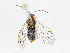  ( - CBG-A10828-D05)  @11 [ ] CreativeCommons - Attribution Share-Alike (2023) CBG Photography Group Centre for Biodiversity Genomics