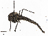  ( - CBG-A10828-H03)  @11 [ ] CreativeCommons - Attribution (2023) CBG Photography Group Centre for Biodiversity Genomics