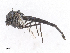  ( - CBG-A10828-H05)  @11 [ ] CreativeCommons - Attribution Share-Alike (2023) CBG Photography Group Centre for Biodiversity Genomics