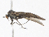  ( - CBG-A13289-B09)  @11 [ ] CreativeCommons - Attribution Share-Alike (2023) CBG Photography Group Centre for Biodiversity Genomics