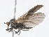  ( - CBG-A13289-D07)  @11 [ ] CreativeCommons - Attribution Share-Alike (2023) CBG Photography Group Centre for Biodiversity Genomics