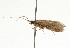 ( - 09CBCAD-214)  @13 [ ] CreativeCommons - Attribution (2010) Unspecified Centre for Biodiversity Genomics