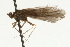  ( - 09CBCAD-233)  @13 [ ] CreativeCommons - Attribution (2010) Unspecified Centre for Biodiversity Genomics