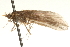 ( - 09CBCAD-373)  @13 [ ] CreativeCommons - Attribution (2010) Unspecified Centre for Biodiversity Genomics