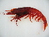  ( - MIVSA:MALAC:00001)  @14 [ ] CreativeCommons - Attribution Non-Commercial (2010) Cristian Bernardi Unspecified