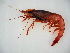  ( - MIVSA:MALAC:00005)  @14 [ ] CreativeCommons - Attribution Non-Commercial (2010) Cristian Bernardi Unspecified