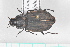  ( - MEBGB9)  @11 [ ] CreativeCommons  Attribution Share-Alike (2021) Lucija Seric Jelaska University of Zagreb, Faculty of Science, Department of Biology