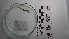  (Cloeosiphon - Cas_ANE10229)  @11 [ ] by-nc-sa (2024) Invemar Invemar-BEM