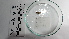  ( - Ame_BA80)  @11 [ ] by-nc-sa (2024) Invemar Invemar-BEM