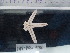  ( - Pun_INVEQU4150)  @11 [ ] Unspecified (default): All Rights Reserved (2025) Invemar Invemar-BEM