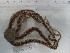  ( - Oal_INVEQU4188)  @11 [ ] Unspecified (default): All Rights Reserved (2025) Invemar Invemar-BEM