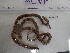  ( - Oal_INVEQU4190)  @11 [ ] Unspecified (default): All Rights Reserved (2025) Invemar Invemar-BEM