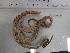 ( - Oal_INVEQU4190)  @11 [ ] Unspecified (default): All Rights Reserved (2025) Invemar Invemar-BEM