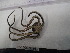 ( - Ohe_INVEQU4194)  @11 [ ] Unspecified (default): All Rights Reserved (2025) Invemar Invemar-BEM